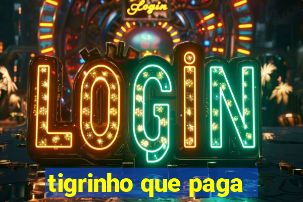 tigrinho que paga