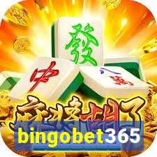 bingobet365