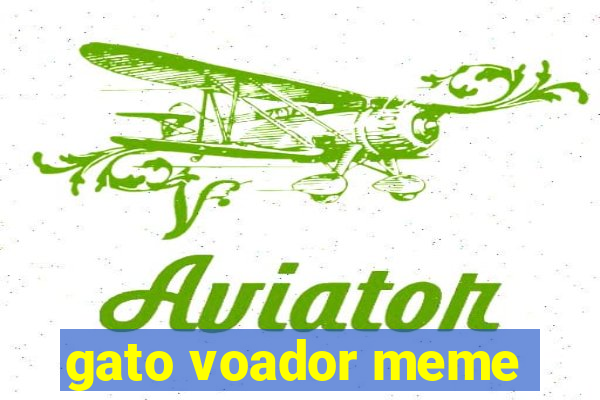 gato voador meme