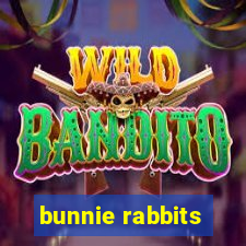 bunnie rabbits