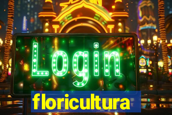 floricultura cruzeiro novo