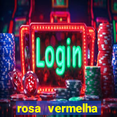 rosa vermelha (letra e cifra)