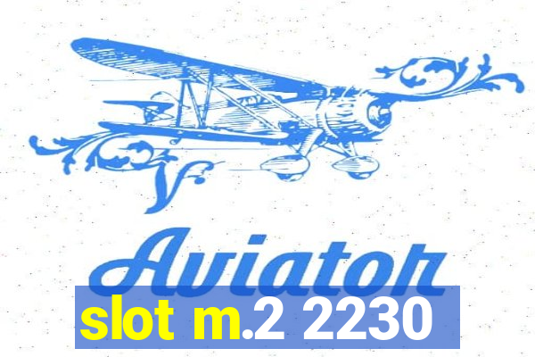 slot m.2 2230