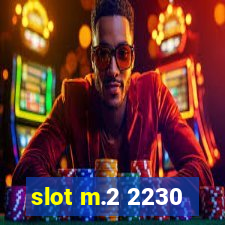 slot m.2 2230