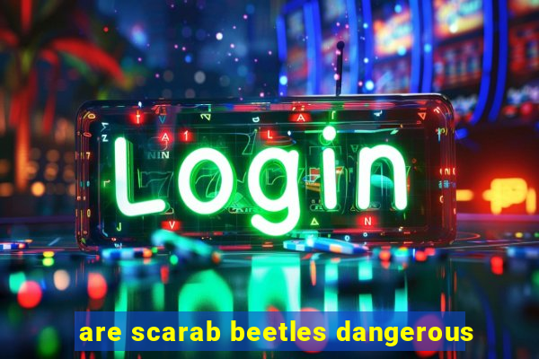 are scarab beetles dangerous