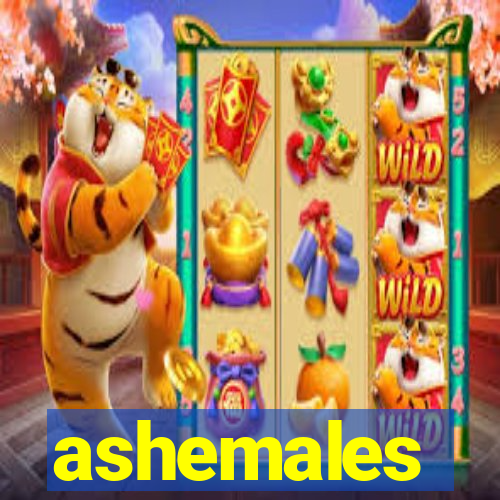 ashemales