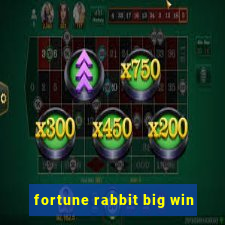 fortune rabbit big win