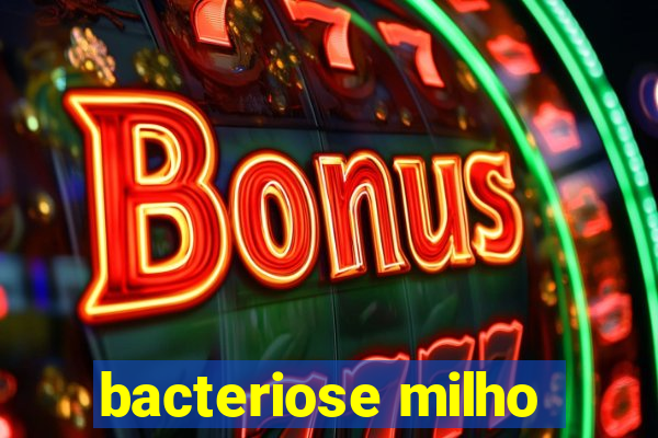 bacteriose milho