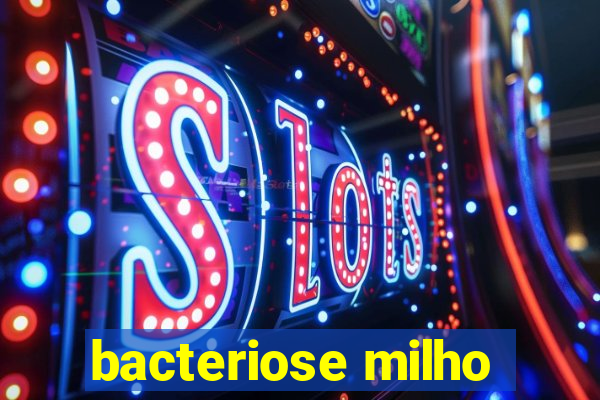 bacteriose milho