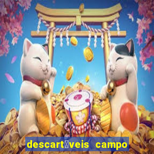 descart谩veis campo grande rj