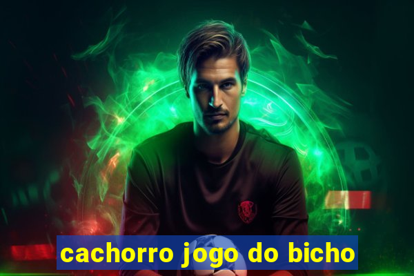 cachorro jogo do bicho