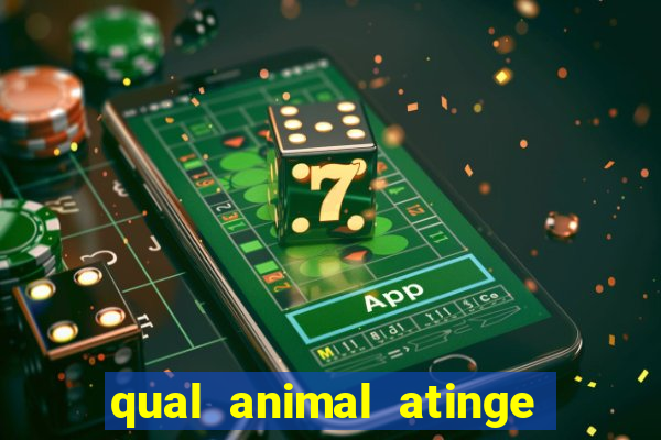 qual animal atinge 230 decibeis