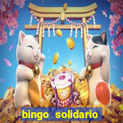 bingo solidario como organizar