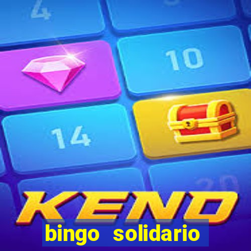 bingo solidario como organizar