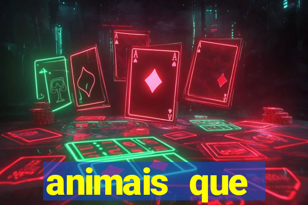 animais que produzem l茫