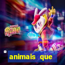 animais que produzem l茫