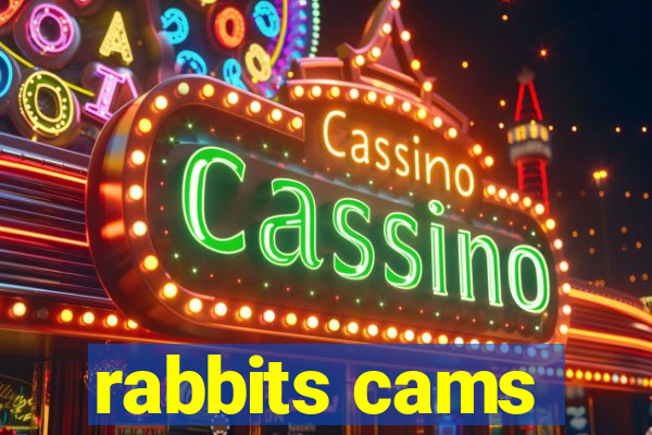 rabbits cams