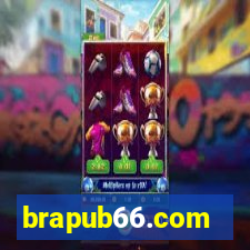 brapub66.com