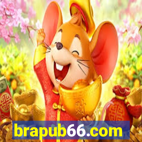 brapub66.com