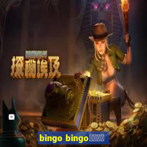 bingo bingo線上投注