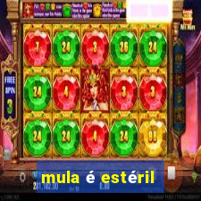 mula é estéril