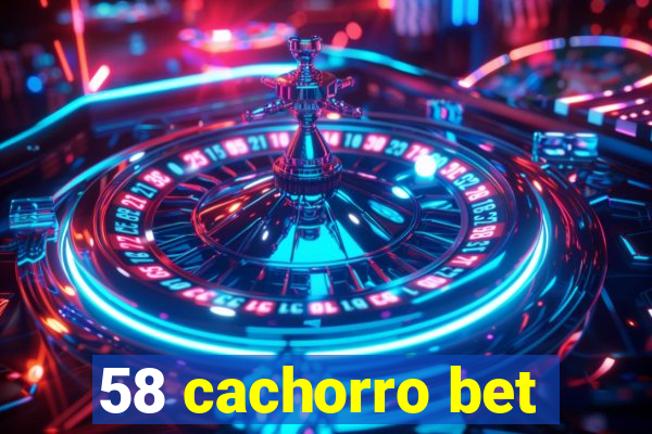 58 cachorro bet