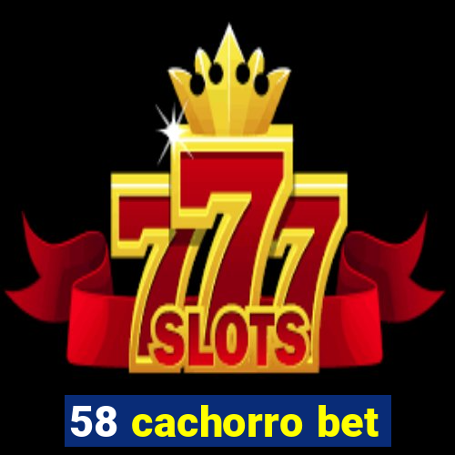 58 cachorro bet