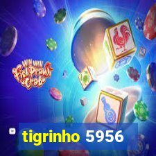 tigrinho 5956