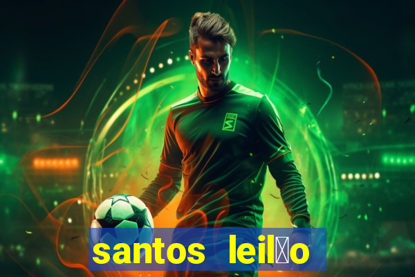 santos leil茫o passo fundo