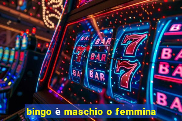 bingo è maschio o femmina