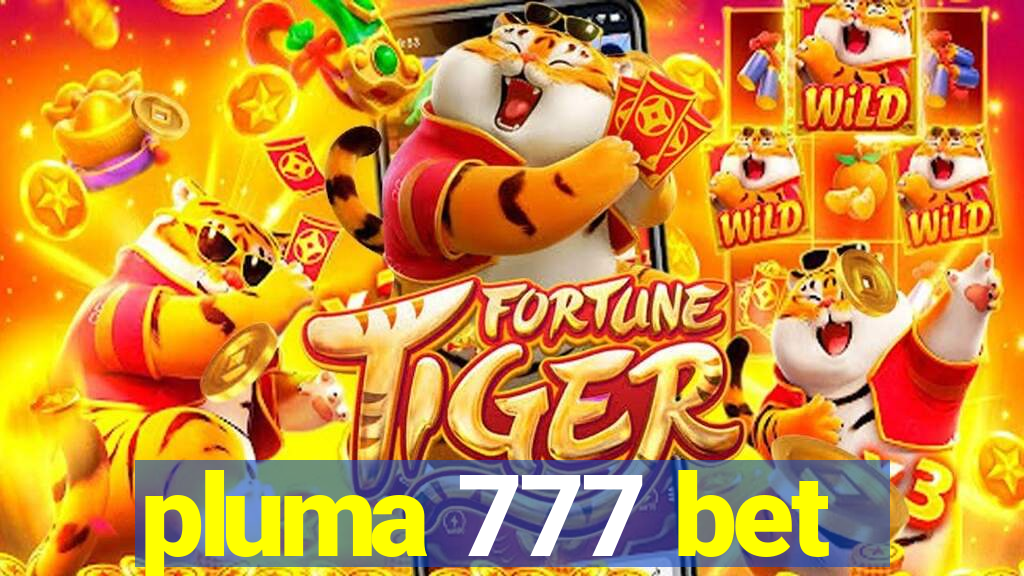 pluma 777 bet