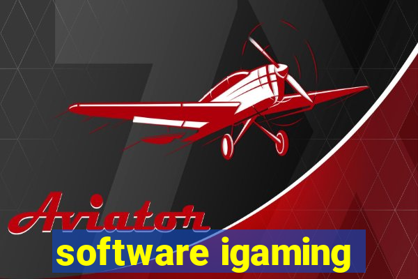 software igaming