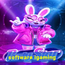 software igaming