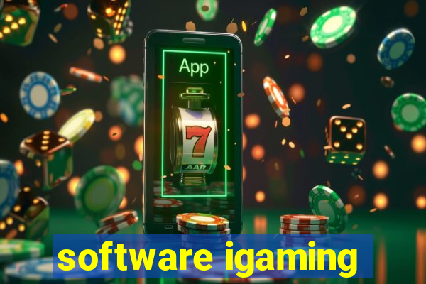 software igaming