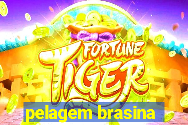 pelagem brasina