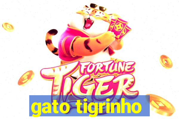 gato tigrinho