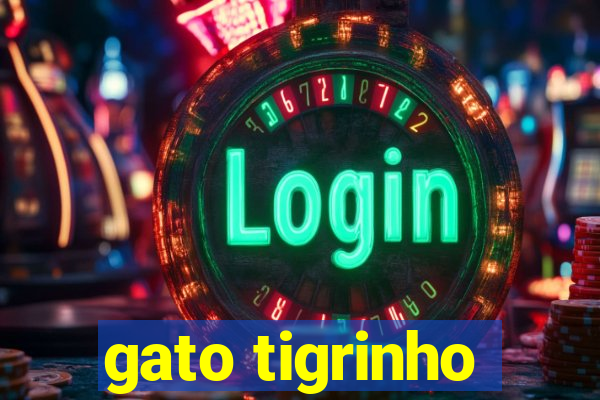 gato tigrinho