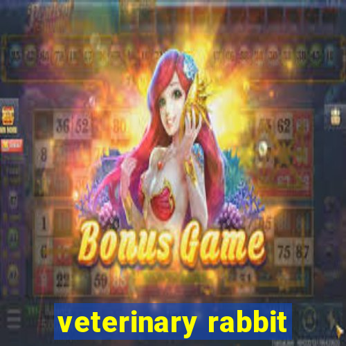 veterinary rabbit