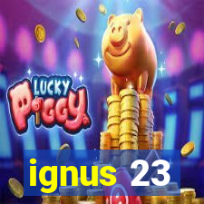 ignus 23