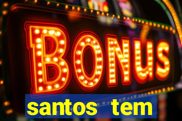 santos tem aeroporto comercial