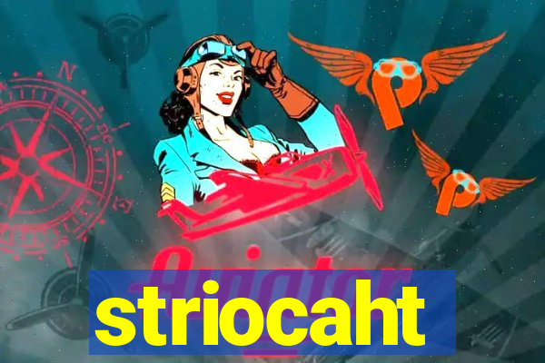 striocaht