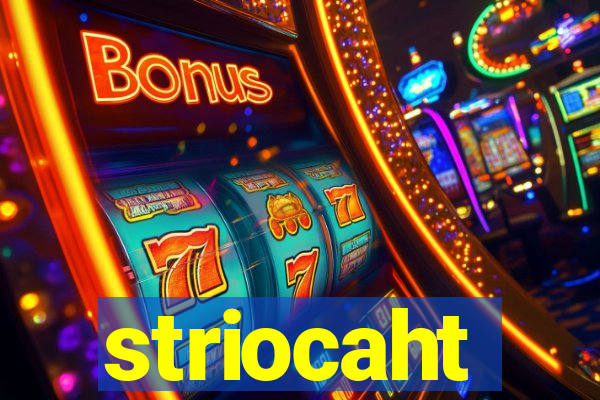 striocaht