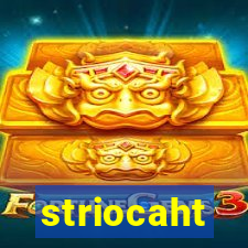 striocaht