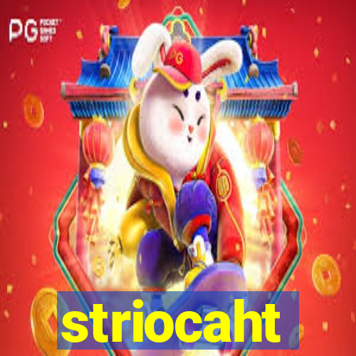 striocaht