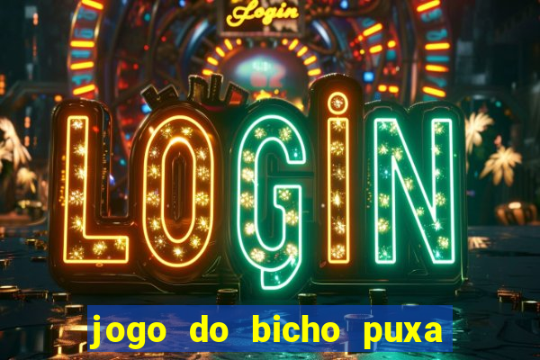 jogo do bicho puxa de dona maria