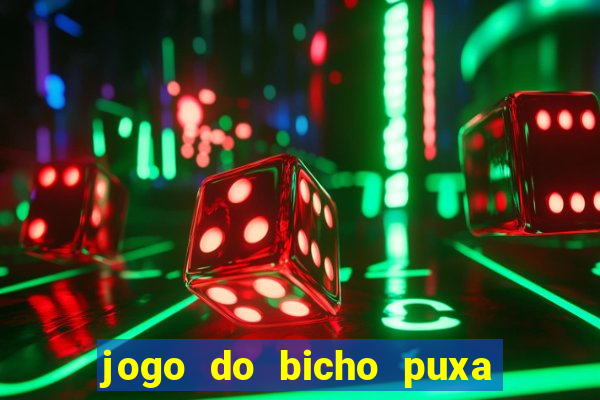 jogo do bicho puxa de dona maria