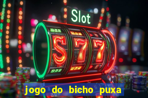 jogo do bicho puxa de dona maria