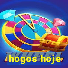 hogos hoje