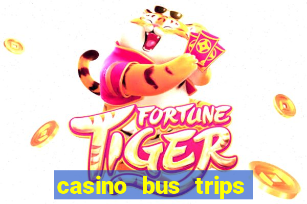 casino bus trips in ct