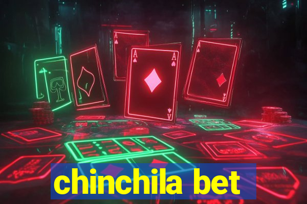 chinchila bet